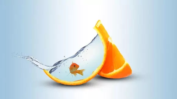 PS教程:创意合成,合成一只橙皮鱼缸