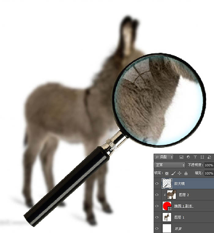 Photoshop制作放大镜扫描小毛驴动画教程