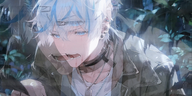 6.gif